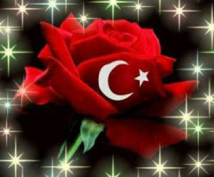 yemece_gulbayrak.jpg